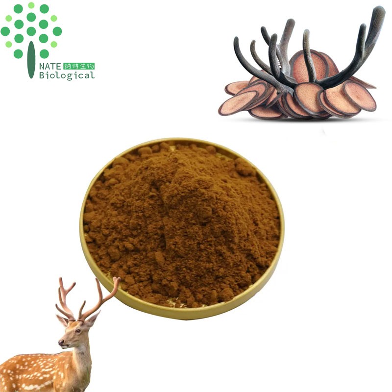 High Quality Deer Antler Velvet Extract Powder 10:1 20:1 Deer Antler Extract