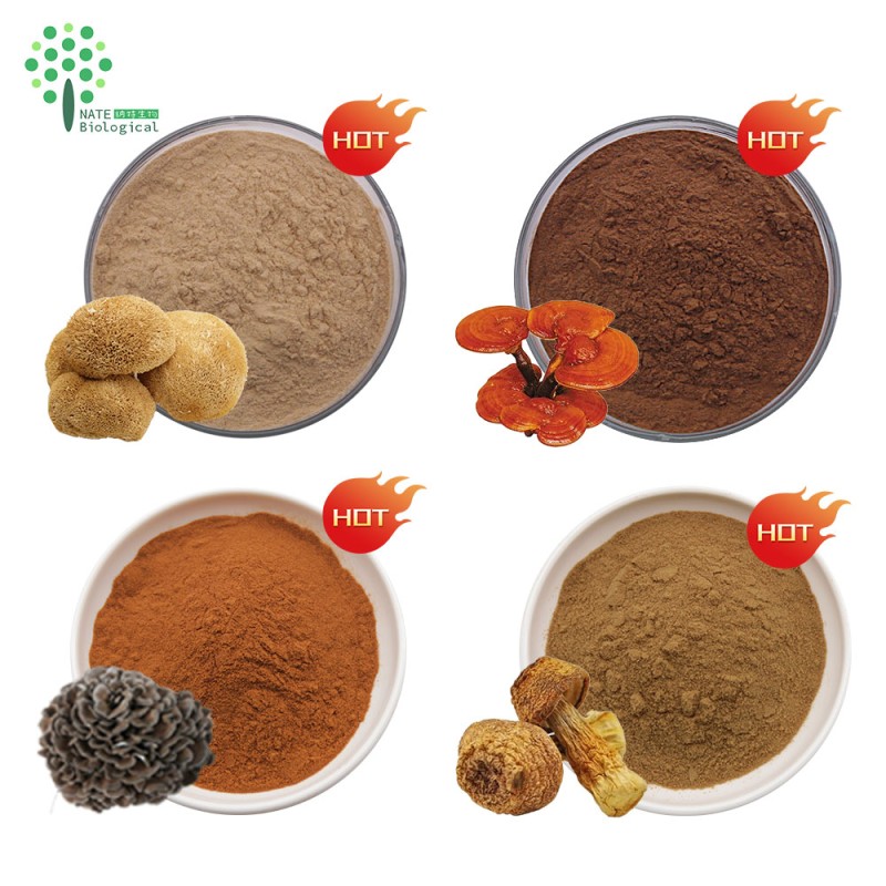 OEM Customized Capsules with Mushroom Extract Powder Lions Mane Cordyceps Turkey Tail Maitake Reishi Chaga-in Drum Packaging
