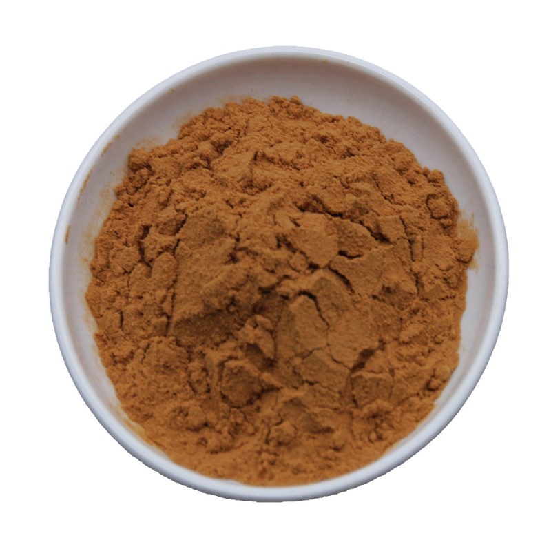 Wholesale Bulk Cordyceps Militaris Mushroom Powder Extract Cordycepin 1.0 Powder