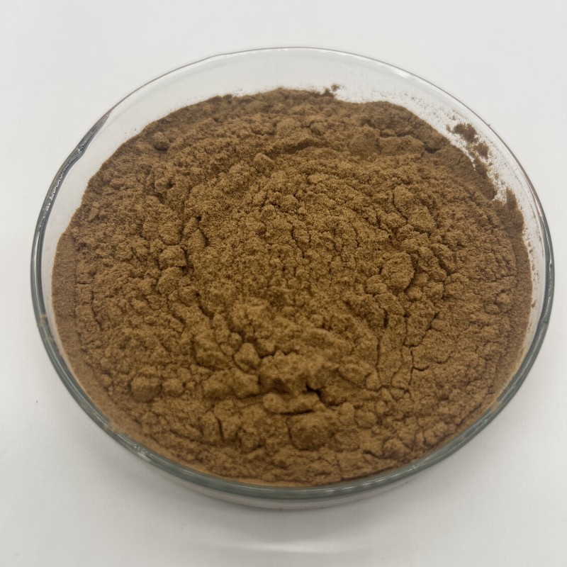 Laricifomes Officinalis Fomes Officinalis Extract Polysaccharide Powder