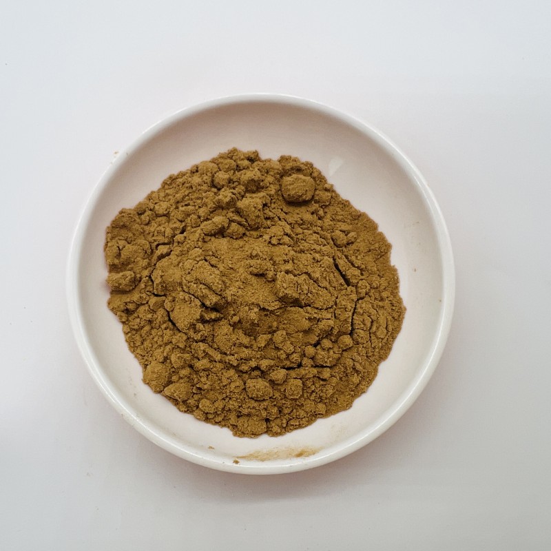 Wholesale Bulk White Button Mushroom Extract Powder Polysaccharide