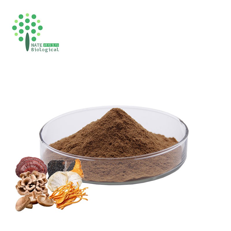 6 in 1 Powerful Mushroom Extract Blend Powder -Lions Mane, Reishi, Cordyceps, Chaga, Turkey Tail, Maitake Extract