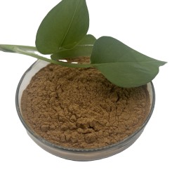 Bulk Honeysuckle Flower Extract Chlorogenic Acid 10% Powder