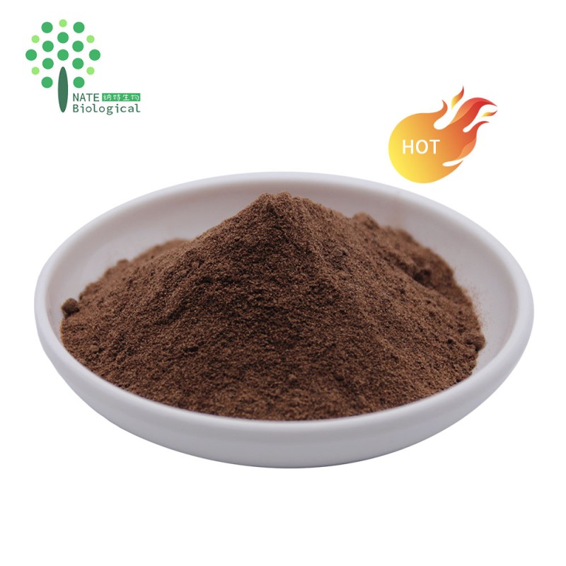 Supplement Lions Mane Mushroom Dual Extract Polysaccharides 20% Triterpenes 4%Hericenones+Erinacines 4%