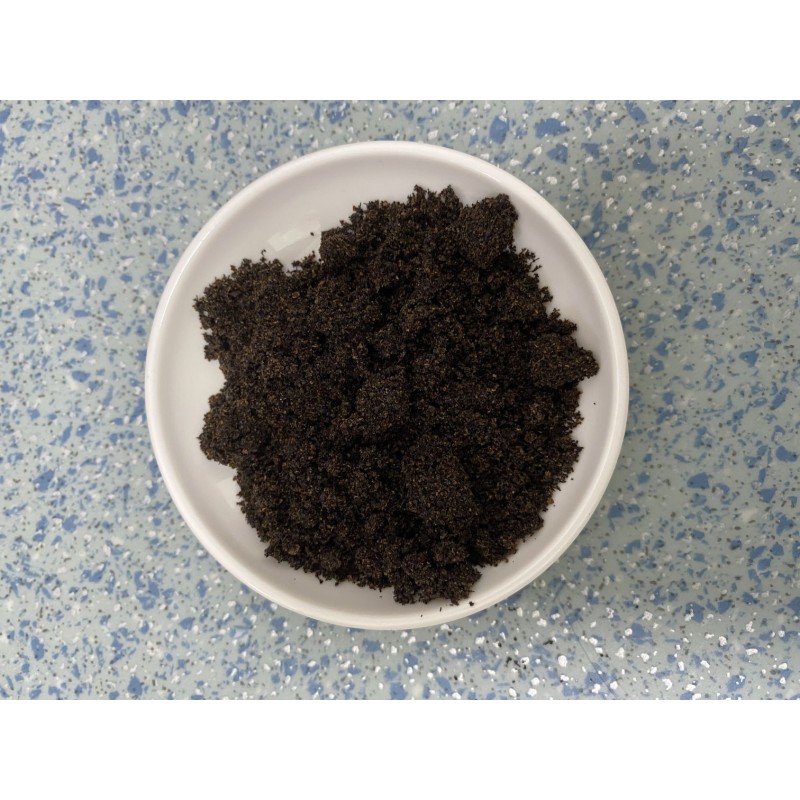 Black Polyrachis Ant king Extract Powder Bulk