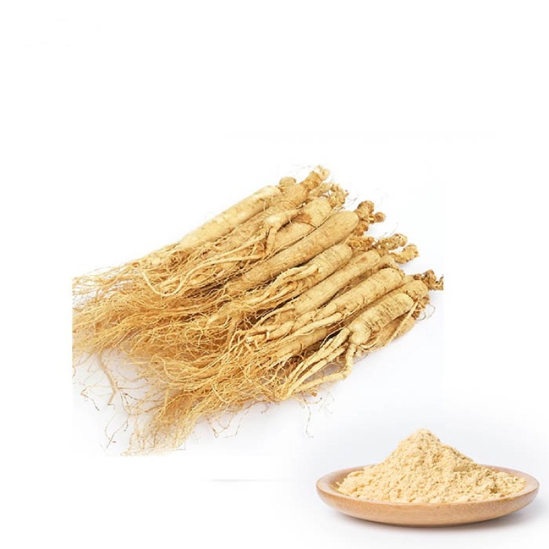Dietary Supplement Bulk Panax Ginseng American Siberian Ginseng Extract Powder
