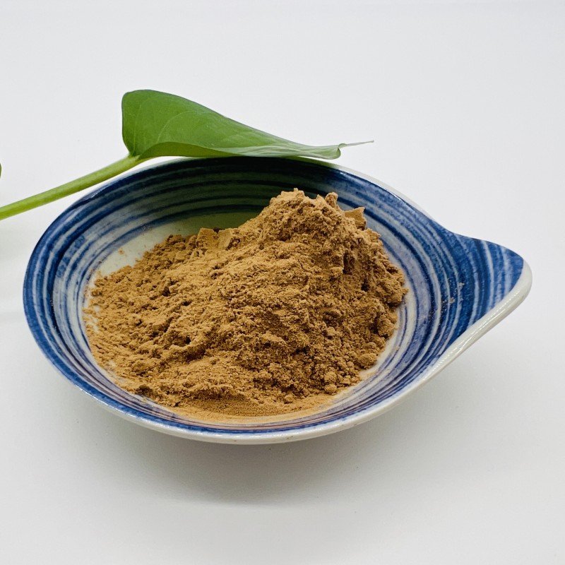 Wholesale Bulk White Button Mushroom Extract Powder Polysaccharide