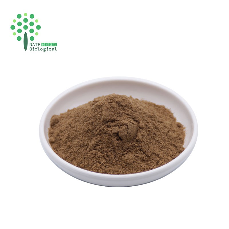 8 in 1 Powerful Mushroom Extract Blend Powder Complex Lions Mane, Reishi, Cordyceps, Chaga, Shiitake, Maitake,turkey Tail
