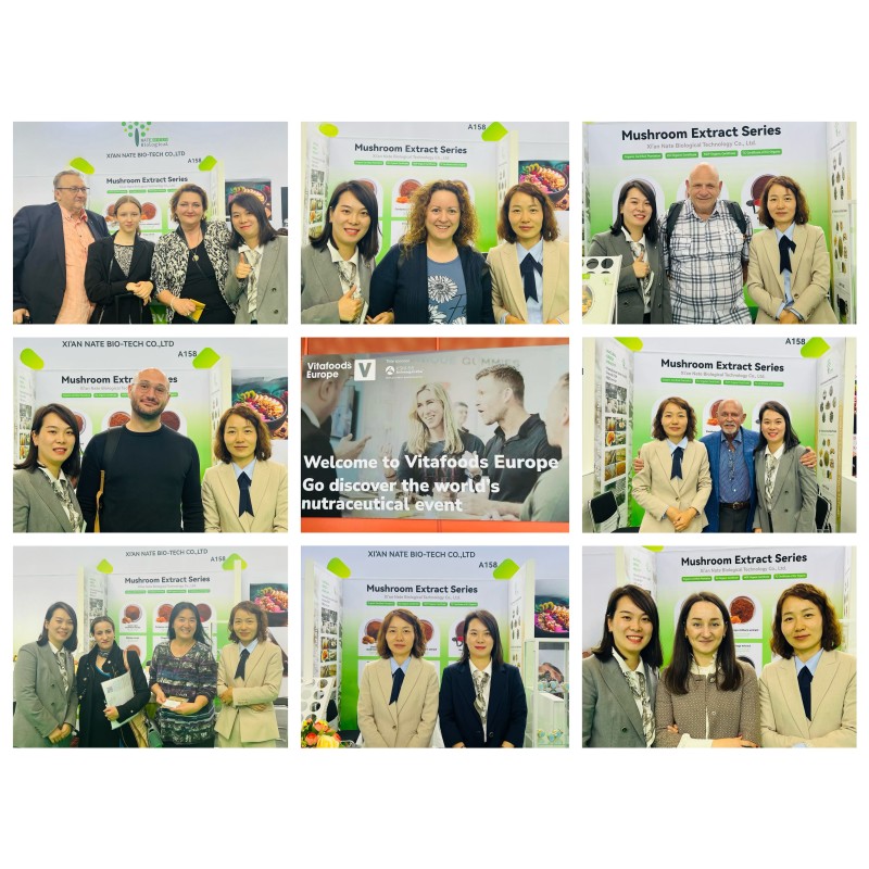 Natural Sophora Flavescens Extract Powder 98% Oxymatrine Matrine CAS 16837-52-8