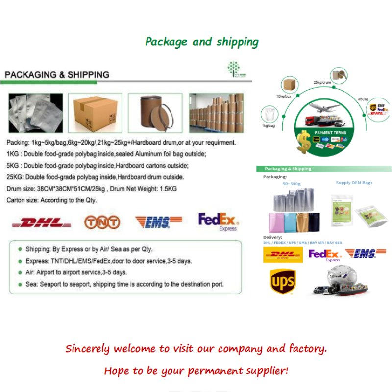 Supply Betel Nut Extract 10:1 Areca Nut Extract Powder