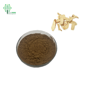 Zhimu Powder Rhizoma Anemarrhenae Extract Powder