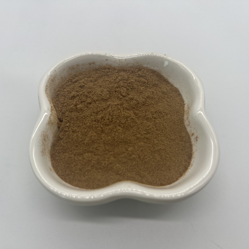 Bulk Honeysuckle Flower Extract Chlorogenic Acid 10% Powder