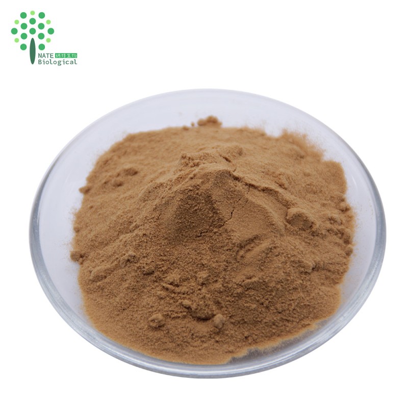 OEM Customized Herbal Extract Capsules Lion's Mane Cordyceps Turkey Tail Maitake Reishi Chaga Mushroom Powder