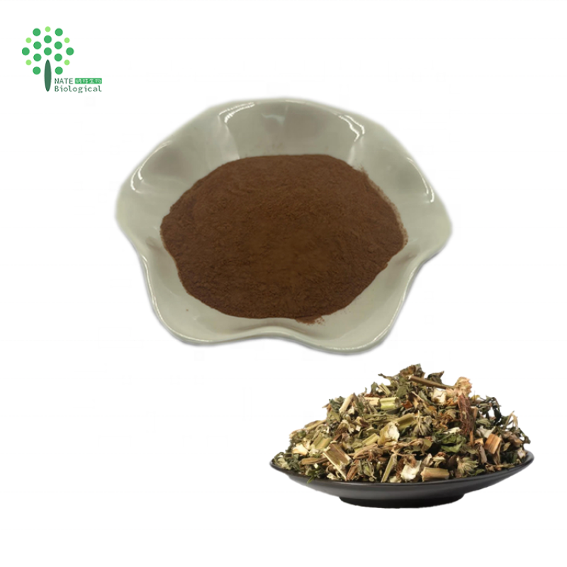 Natural Motherwort Extract Powder Leonurus Japonicus Extract