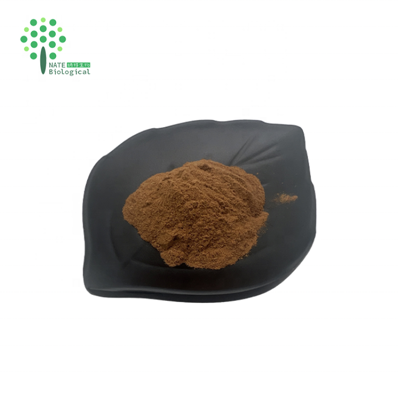 Supply Betel Nut Extract 10:1 Areca Nut Extract Powder