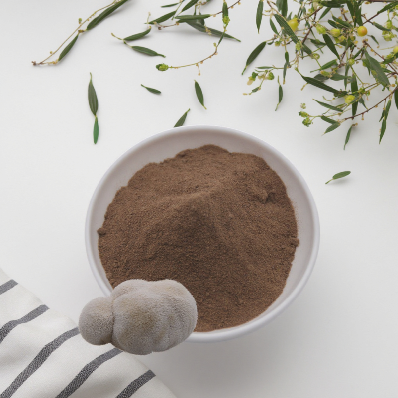Supplement Lions Mane Mushroom Dual Extract Polysaccharides 20% Triterpenes 4%Hericenones+Erinacines 4%
