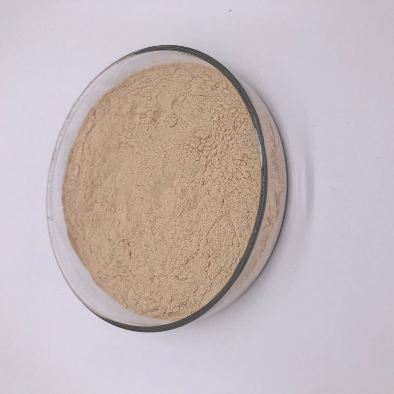 Bulk Natural Garlic Extract Allicin Powder 1%