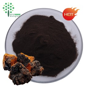Black Gold Inonqqus Obliquus Extract Powder Polysaccharide 40% 50% Beta Glucan