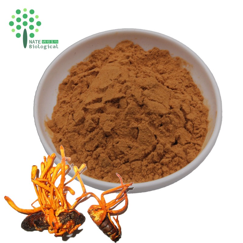 Wholesale Bulk Cordyceps Militaris Mushroom Powder Extract Cordycepin Powder
