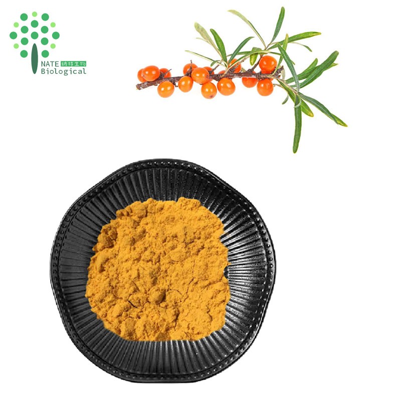 Wholesale Bulk Fruit Powder Sea Buckthorn Juice Powder Food Grade
