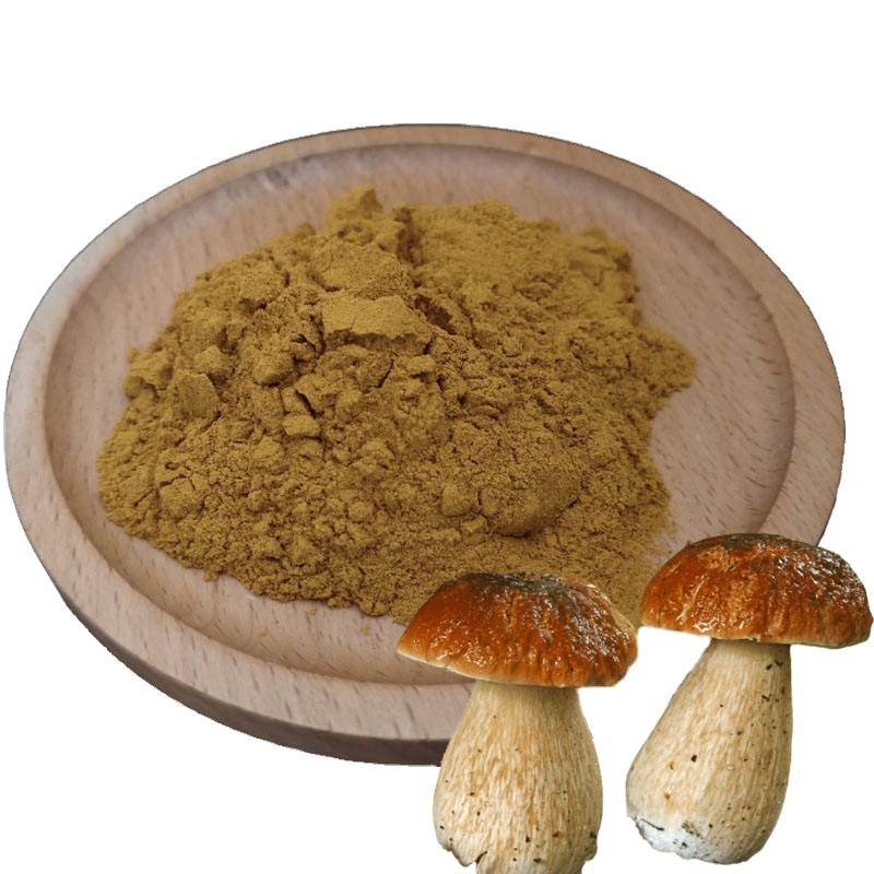 Immunity Enhancing Material Boletus Edulis Mushroom Extract Powder Polysaccharide 50%
