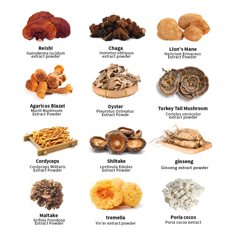 EU&USDA Organic Blend Lions Mane Cordyceps Shiitake Maitake Reishi Chaga Mushroom Extract Powder