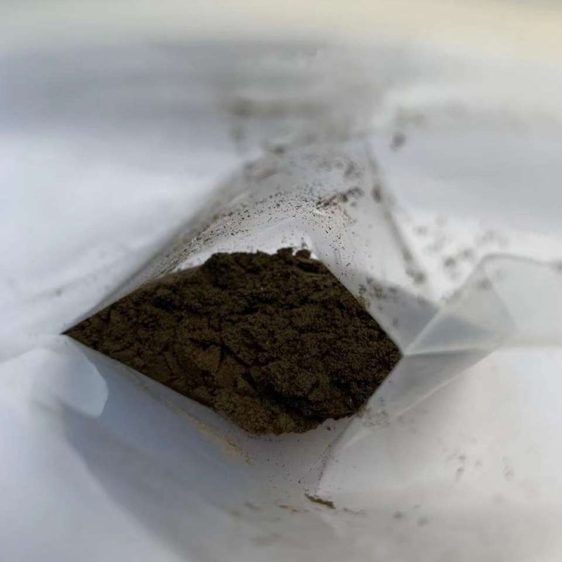 Black Polyrachis Ant king Extract Powder Bulk