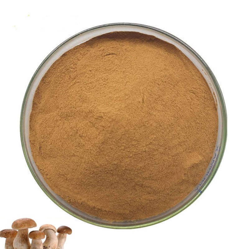 Immunity Enhancing Material Boletus Edulis Mushroom Extract Powder Polysaccharide 50%