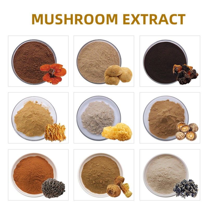 OEM Customized Capsules with Mushroom Extract Powder Lions Mane Cordyceps Turkey Tail Maitake Reishi Chaga-in Drum Packaging