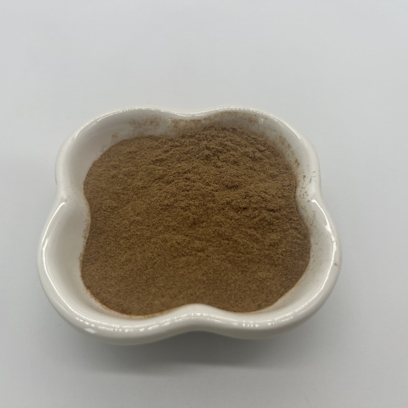 Laricifomes Officinalis Fomes Officinalis Extract Polysaccharide Powder