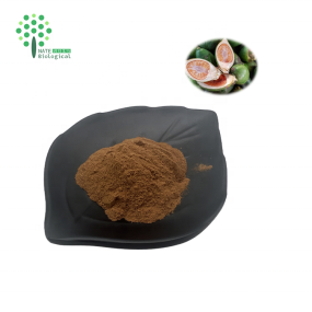 Supply Betel Nut Extract 10:1 Areca Nut Extract Powder