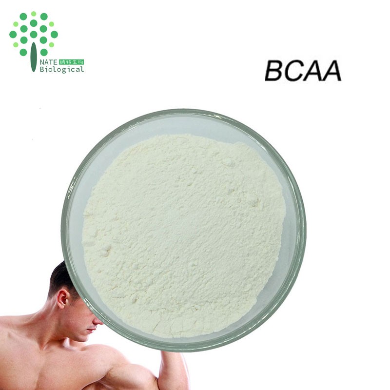 Factory Supply Best Price Bodybuilding Supplements BCAA Powder 2:1:1