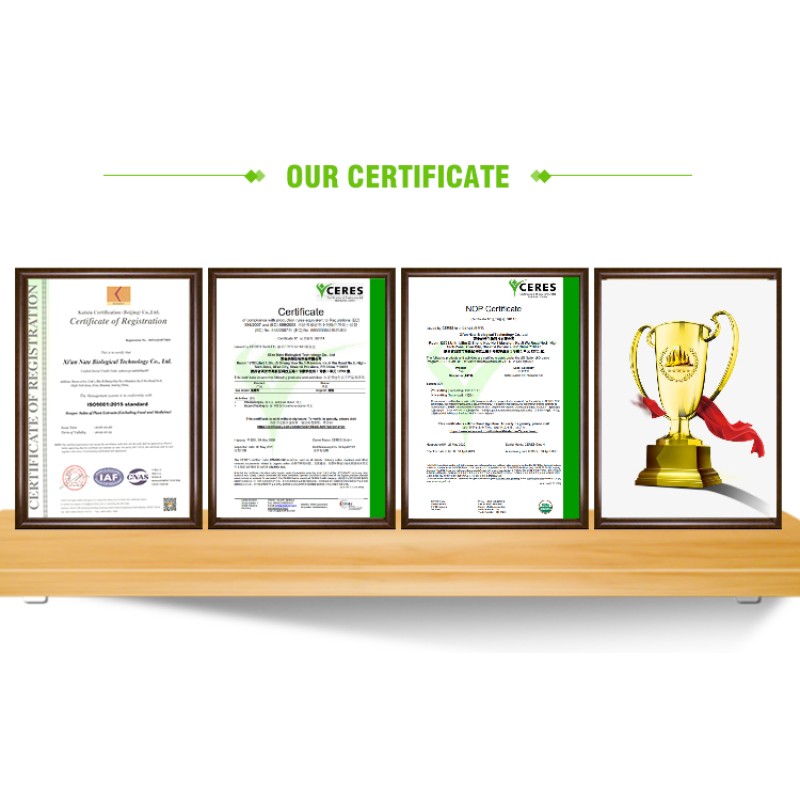 Antrodia Cinnamomea Extract Polysaccharides Powder for Dietary Supplement