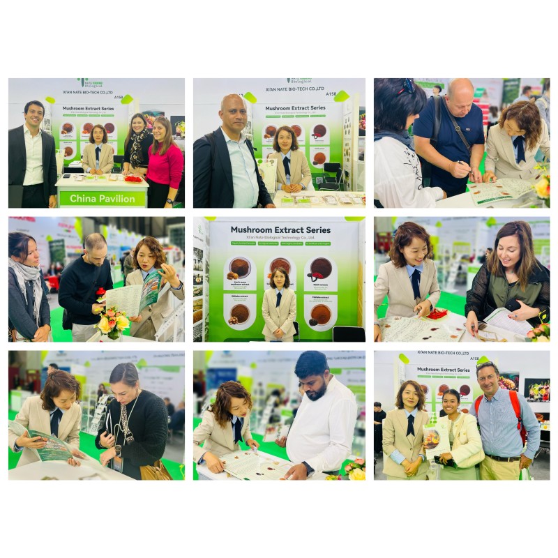 5000 Mesh Instant Water Soluble Pearl Powder Bulk