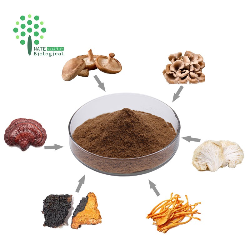 6 in 1 Powerful Mushroom Extract Blend Powder -Lions Mane, Reishi, Cordyceps, Chaga, Turkey Tail, Maitake Extract