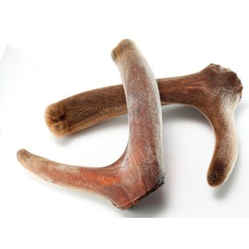 Supply Water Soluble Deer Velvet Antler Extract Powder 10:1 20:1 Deer Antler Extract Powder