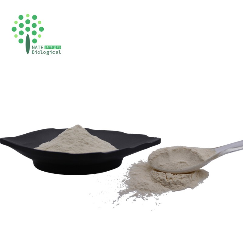 Skin Care Natural Snail Helix Aspersa Powder Snail Powder Snail Slime Extract