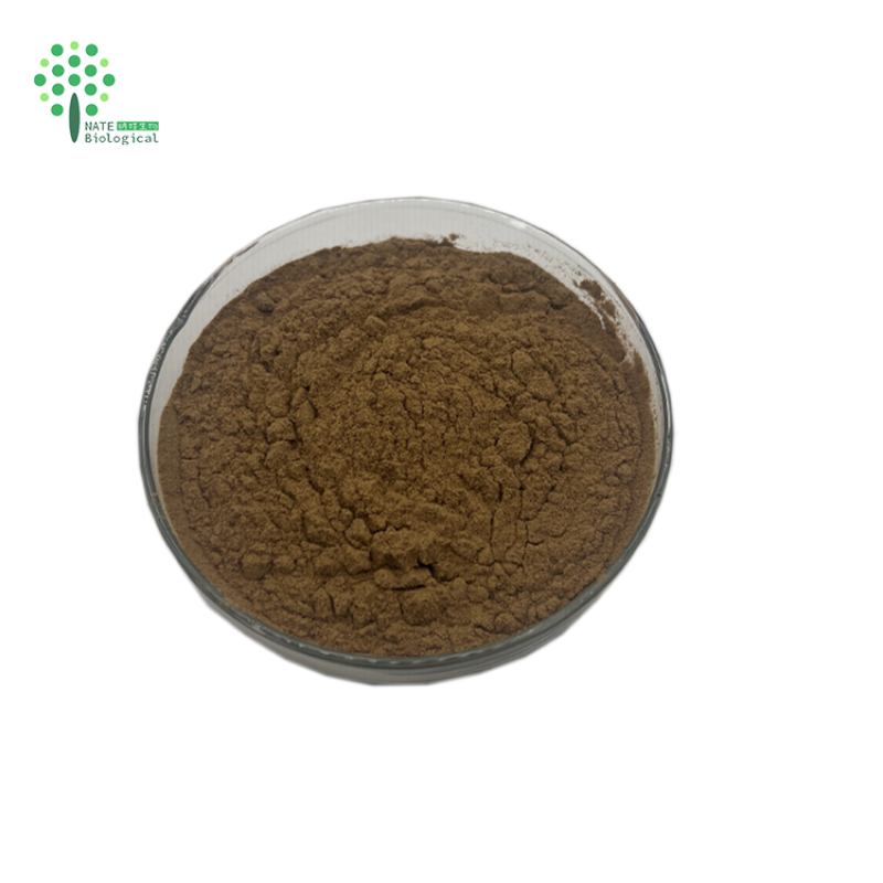 Zhimu Powder Rhizoma Anemarrhenae Extract Powder