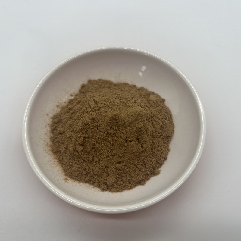 Laricifomes Officinalis Fomes Officinalis Extract Polysaccharide Powder