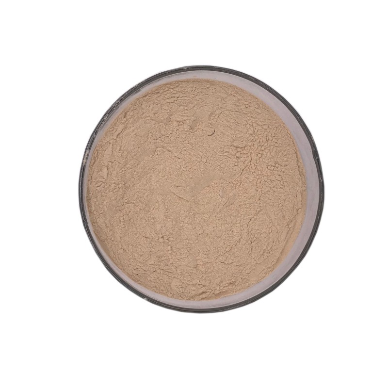 Bulk Natural Garlic Extract Allicin Powder 1%