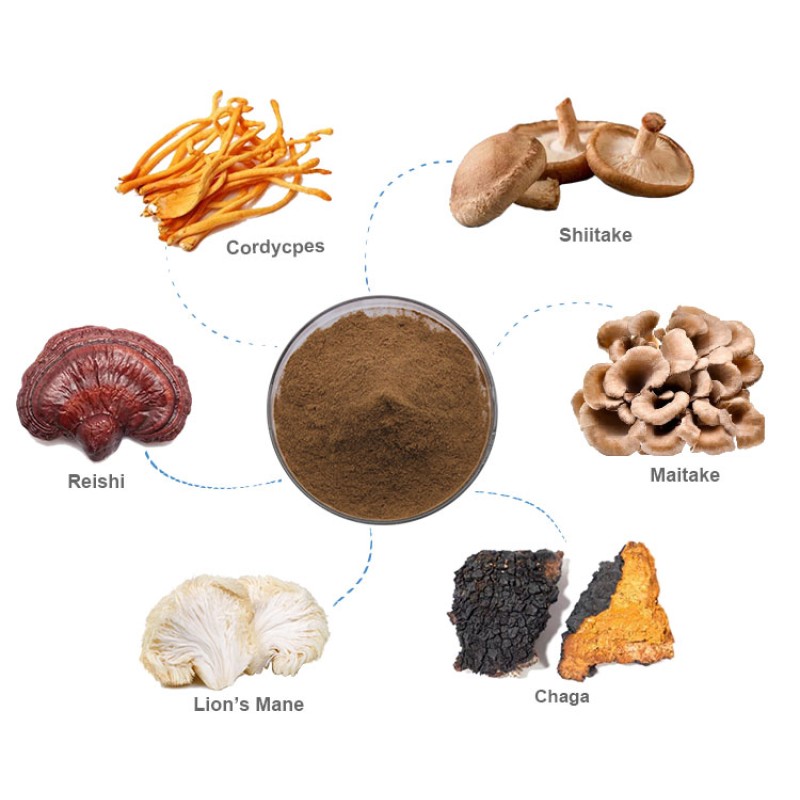 OEM Customized Capsules with Mushroom Extract Powder Lions Mane Cordyceps Turkey Tail Maitake Reishi Chaga-in Drum Packaging