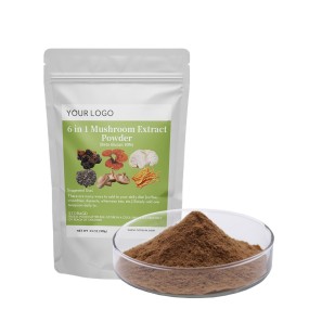Organic Lions Mane Cordyceps Turkey Tail Maitake Reishi Chaga Mushroom Extract 6 in 1 Blend Mushroom Powder