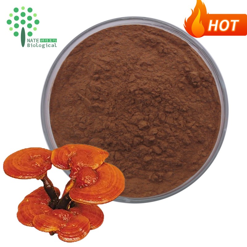 Miracle Booster Wholesale Reishi Mushroom Powder Extract Concentrates Polysaccharide 50%