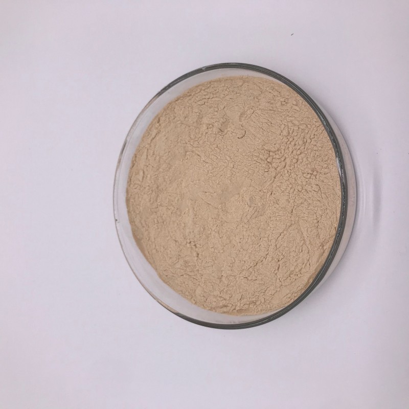 Bulk Natural Garlic Extract Allicin Powder 1%