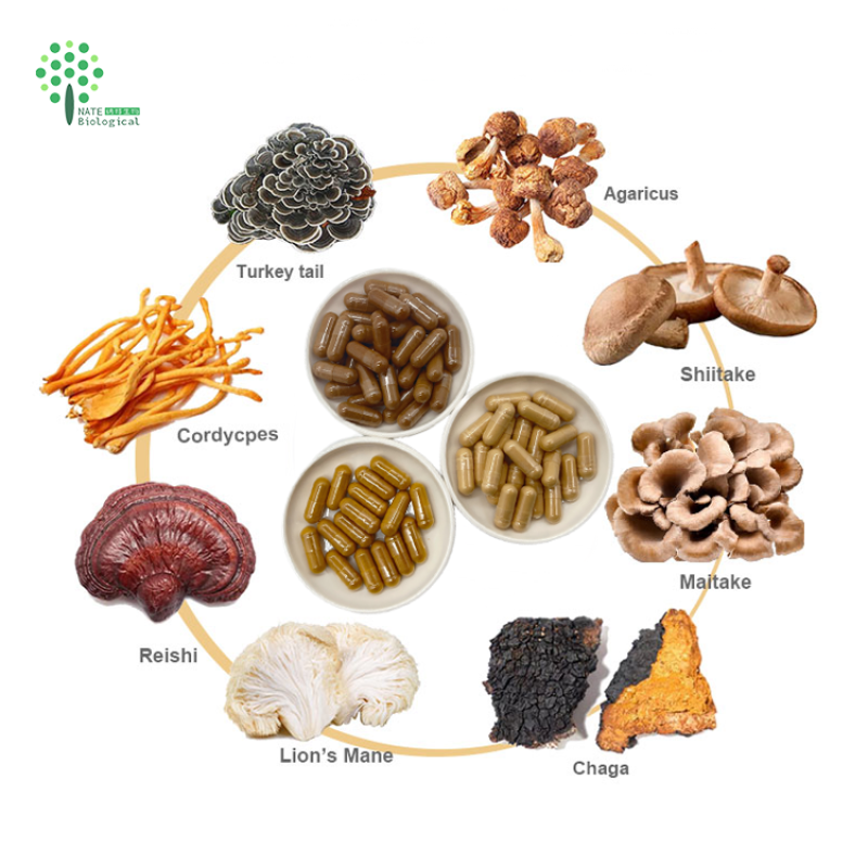 OEM Customized Capsules with Mushroom Extract Powder Lions Mane Cordyceps Turkey Tail Maitake Reishi Chaga-in Drum Packaging