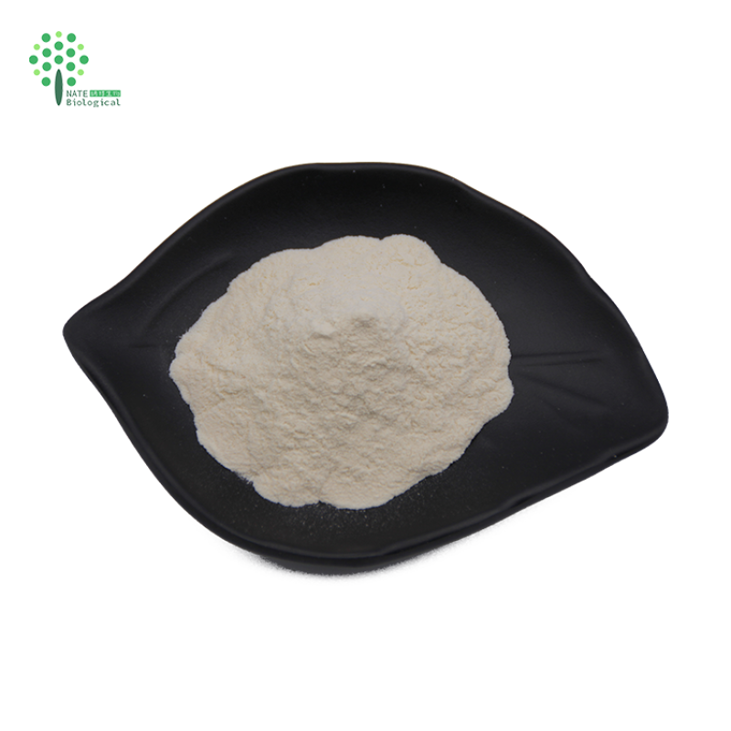 Snail Extract Snail Powder Cosmetic Raw Materials Snail Protein Powder
