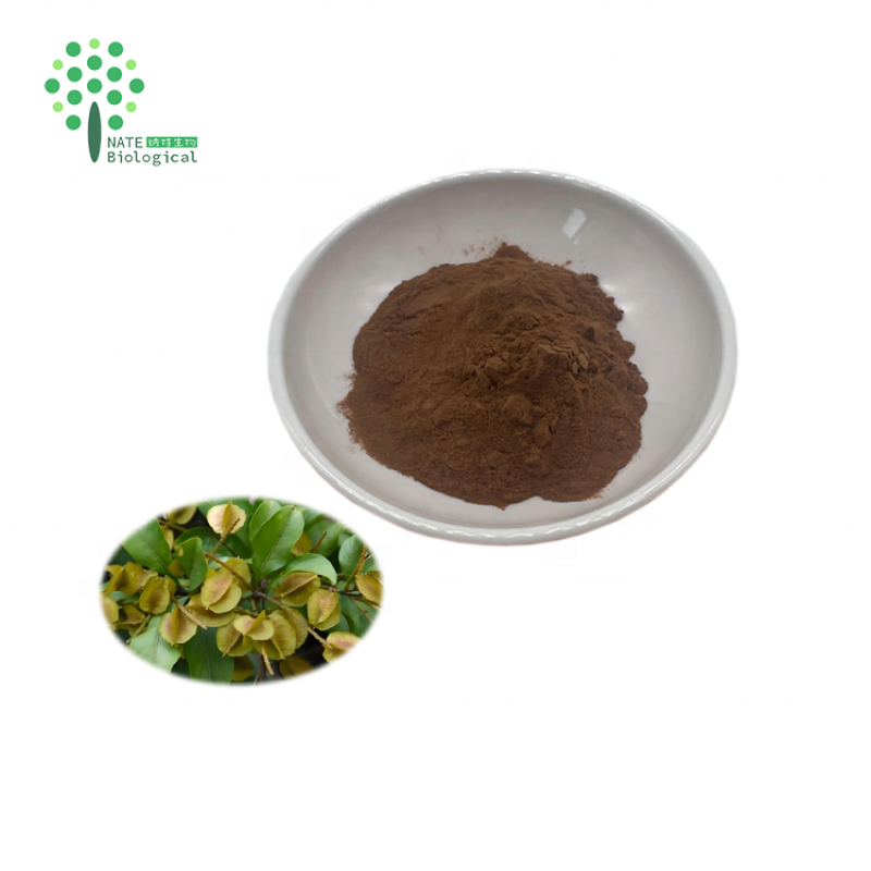 Combretum Quadrangulare Extract 10:1 Sakae Naa  Extract Powder