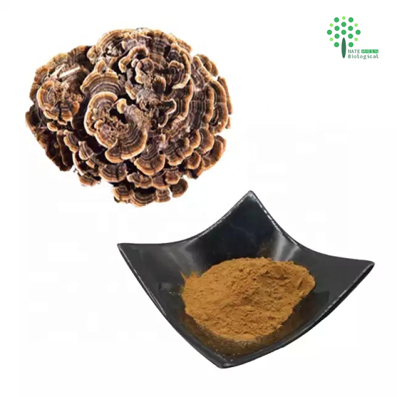 OEM Mushroom Extract Powder Customized Capsules Mushroom Mixed  Powder