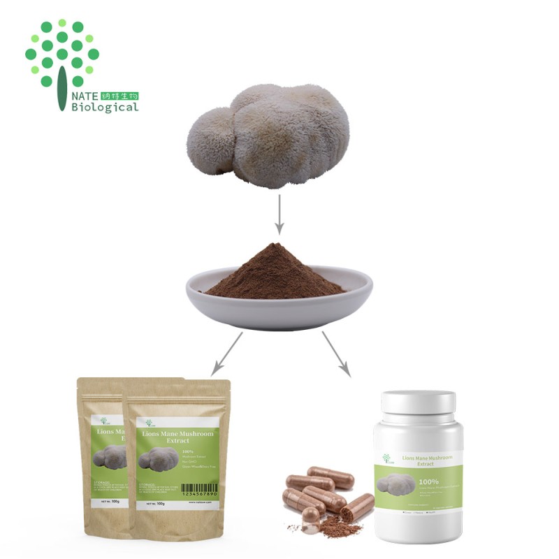 OEM Organic Lions Mane Mushroom Extract Powder with Private Label 60G 2.1OZ Jars