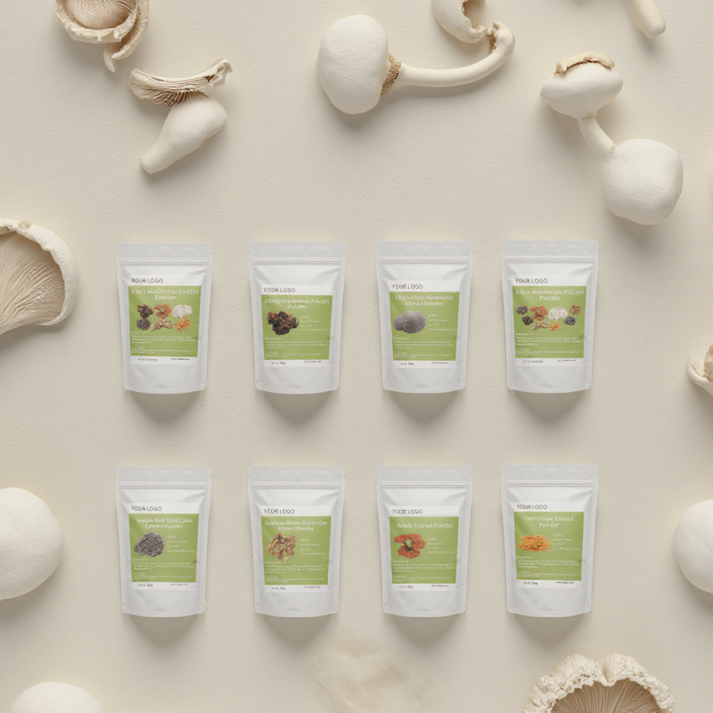 3 in 1 Blend Mushroom Extract Coffee Powder Lions Mane Cordyceps  Reishi